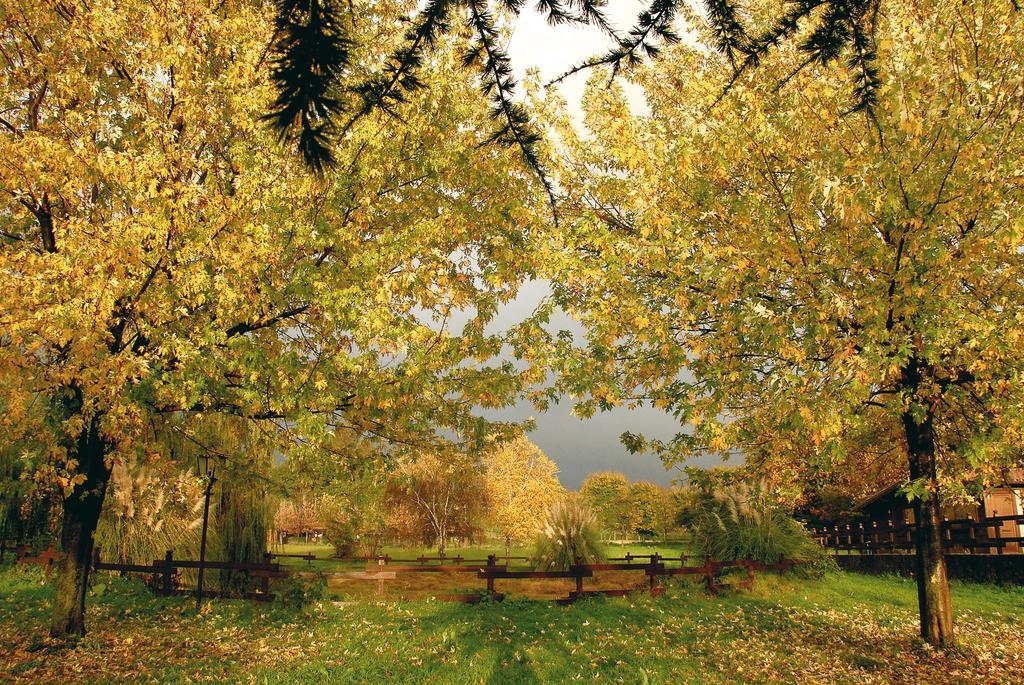 Agriturismo Monte Due Torri Genzano di Roma Exteriér fotografie